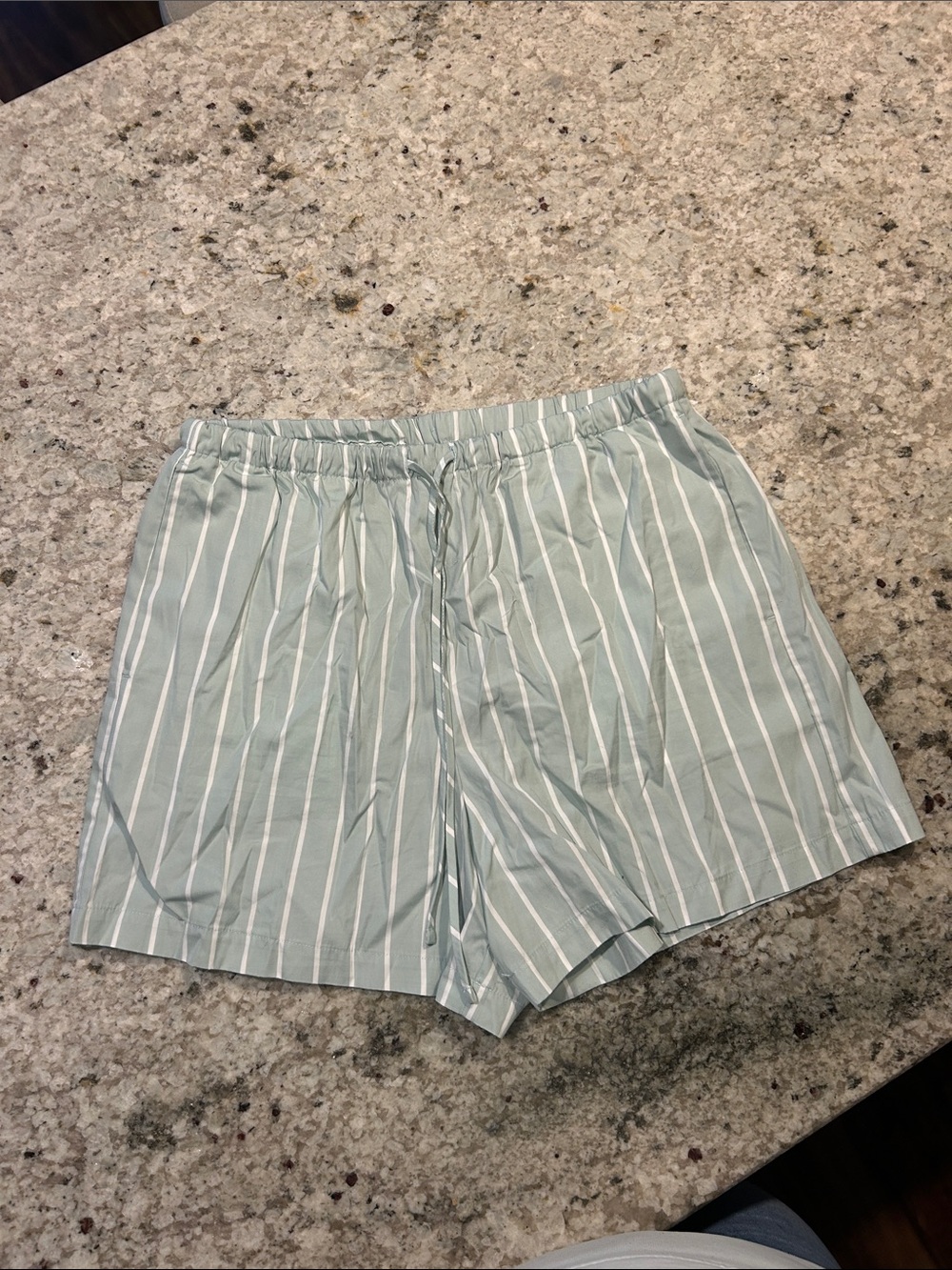 Banana Republic Sage Green & White Striped Drawstring Shorts